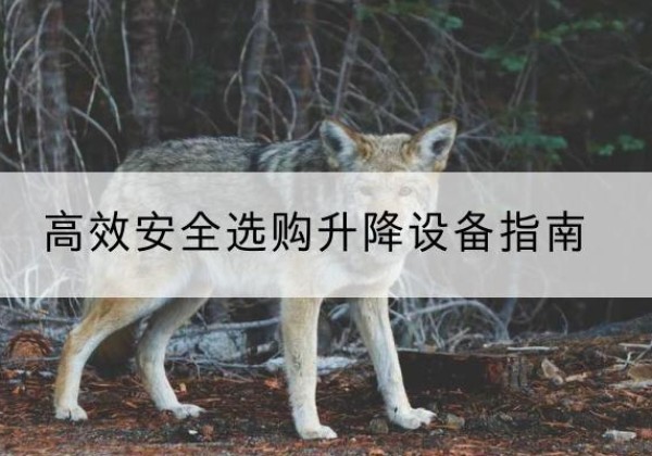 石棉升降货梯厂家推荐-*安全选购升降设备指南