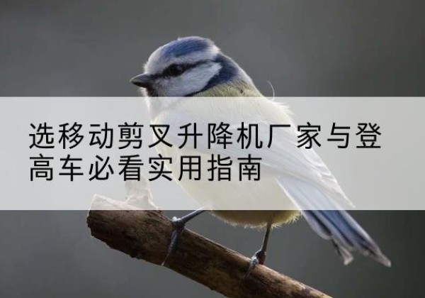 石棉电动升降机厂家-选移动剪叉升降机厂家与登高车必看实用指南